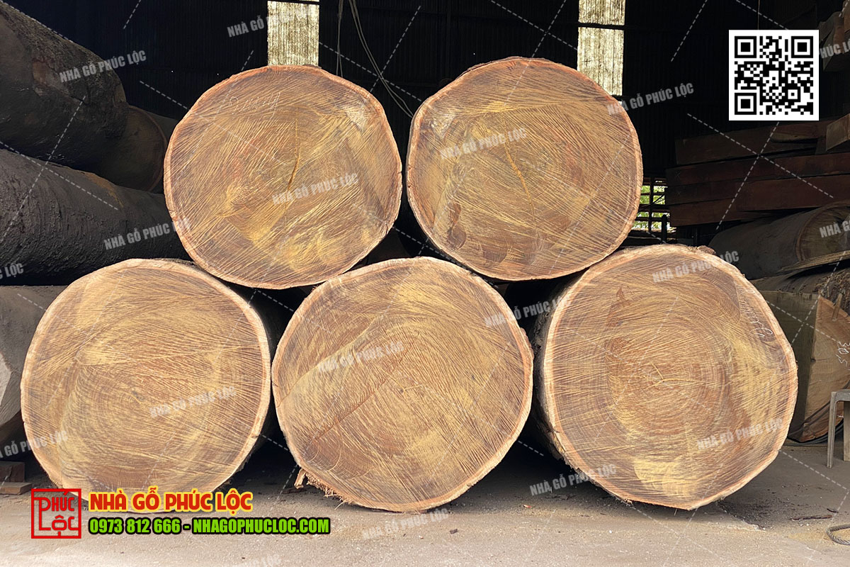 Cách nhận biết gỗ tự nhiên chất lượng